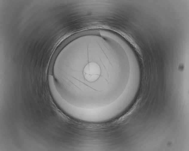 X0000116870889201002021125
