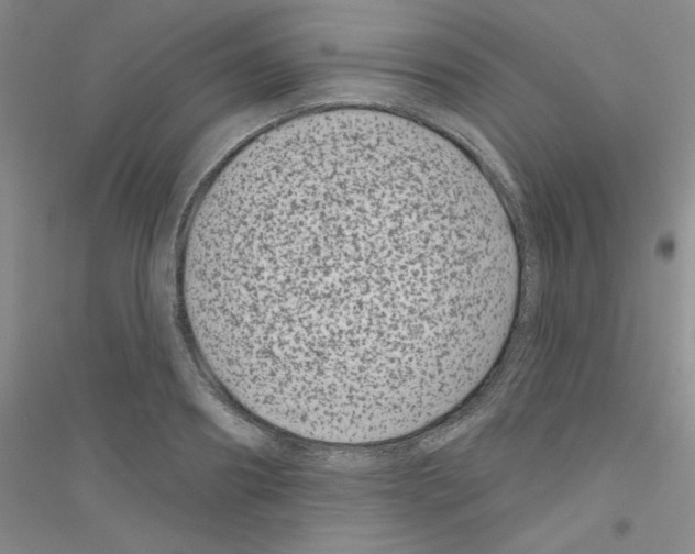 X0000116870890201002021125