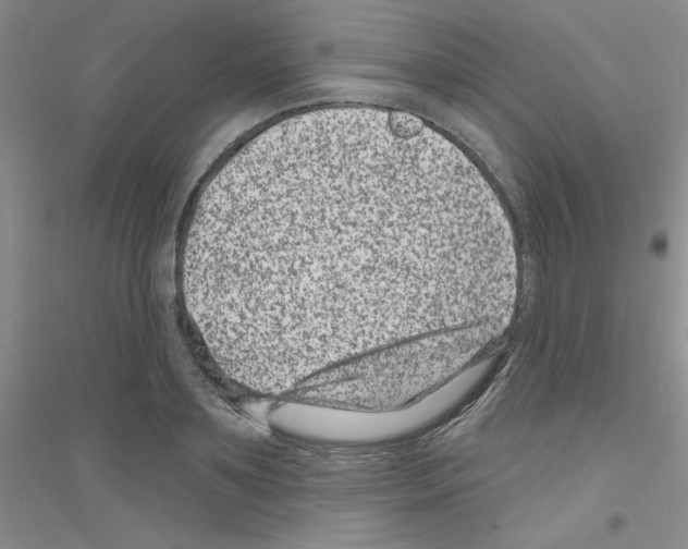 X0000116870891201002021125