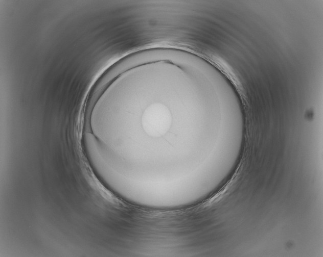 X0000116870892201002021125