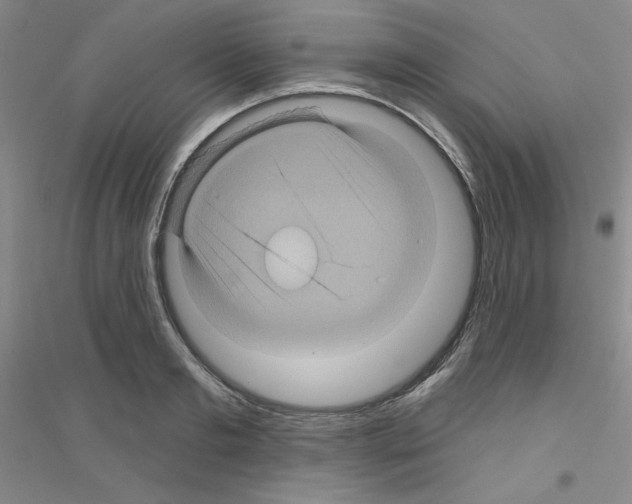 X0000116870893201002021125