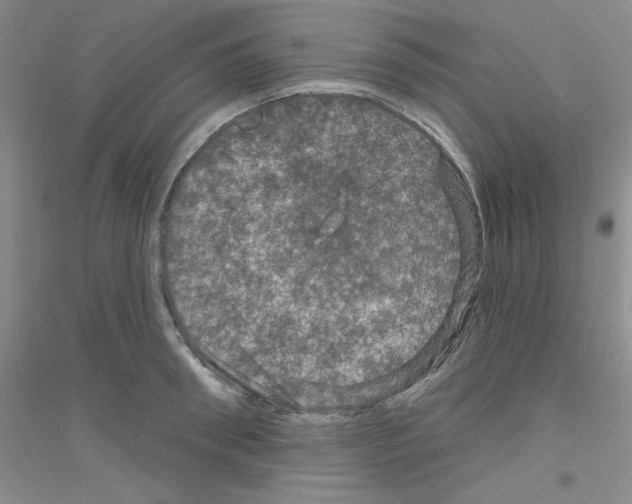 X0000116870898201002021125