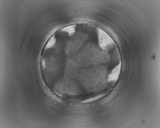 X0000116870899201002021125