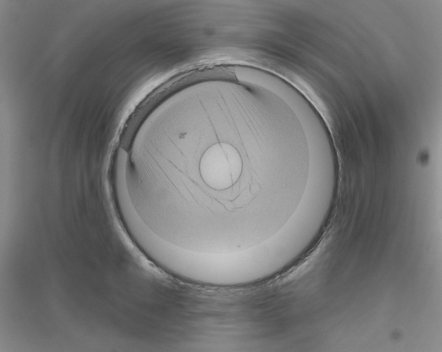 X0000116870901201002021125