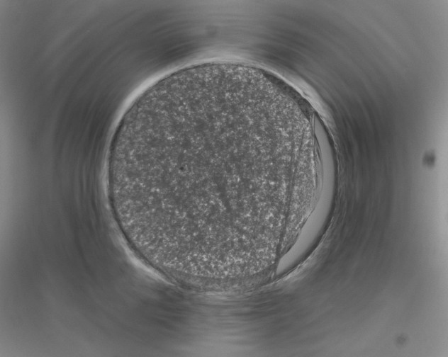 X0000116870904201002021125