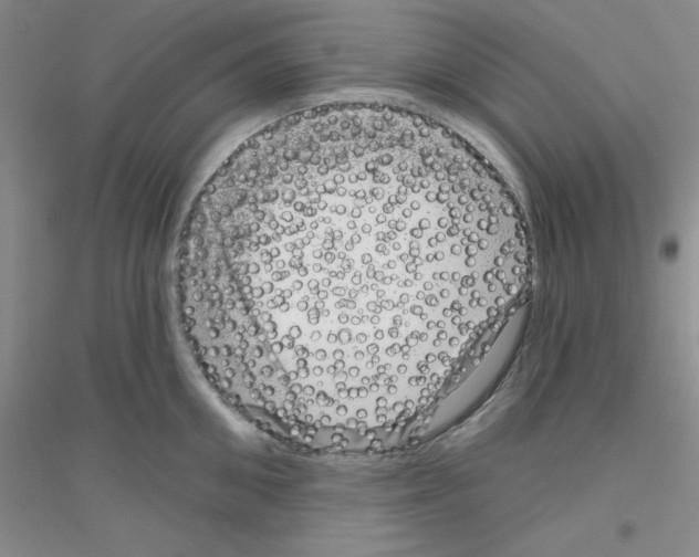 X0000116870906201002021124