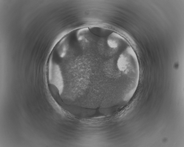 X0000116870907201002021124