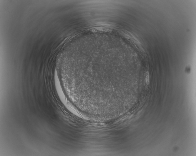 X0000116870915201002021124