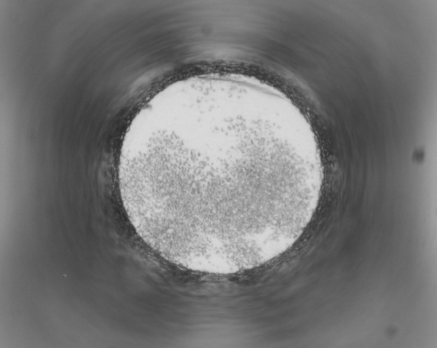 X0000116870918201002021124