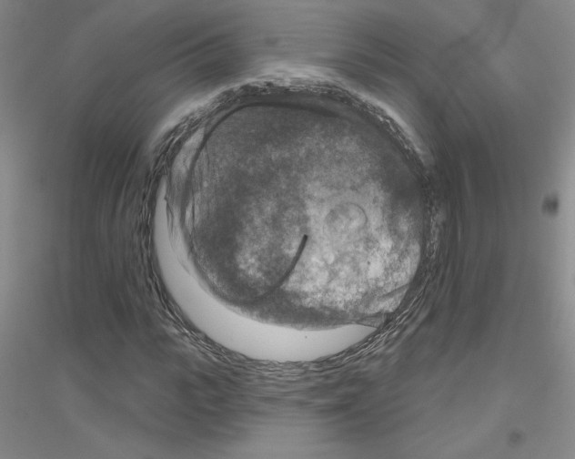 X0000116870919201002021124