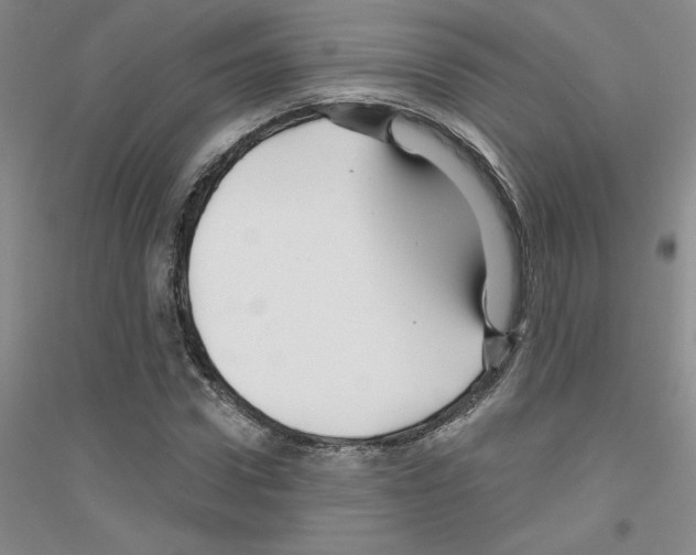 X0000116870922201002021124