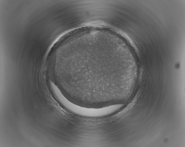 X0000116870923201002021124