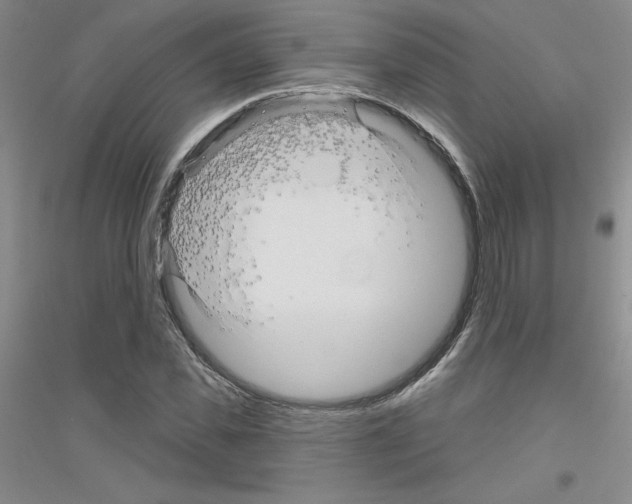 X0000116870925201002021124