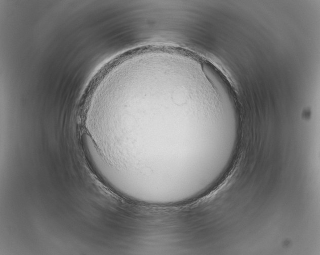 X0000116870926201002021124