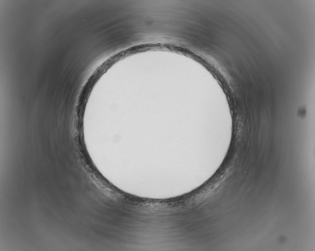 X0000116870927201002021124
