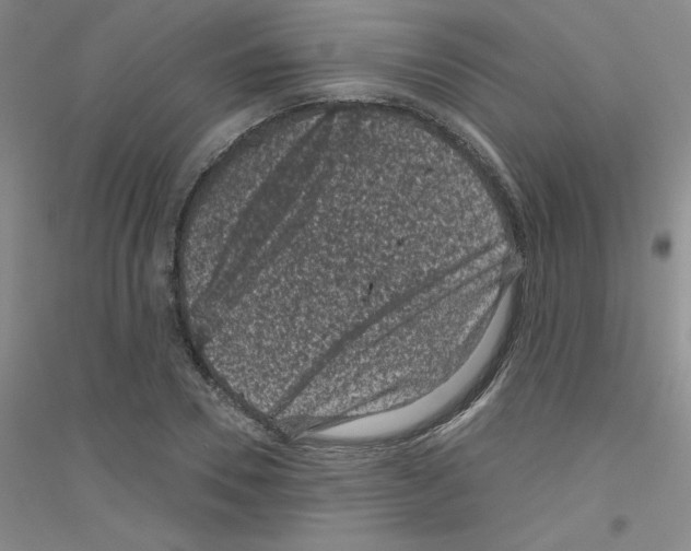 X0000116870930201002021124