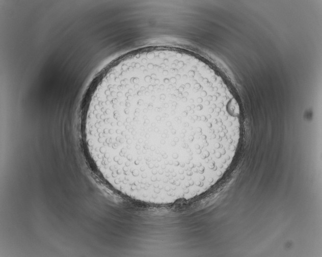 X0000116870931201002021124