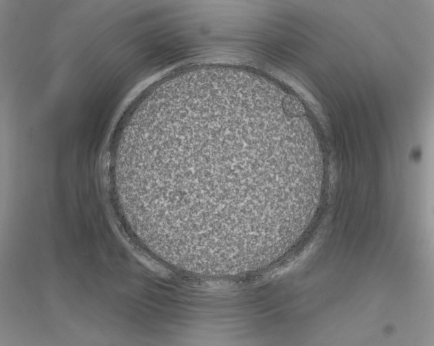 X0000116870933201002021124