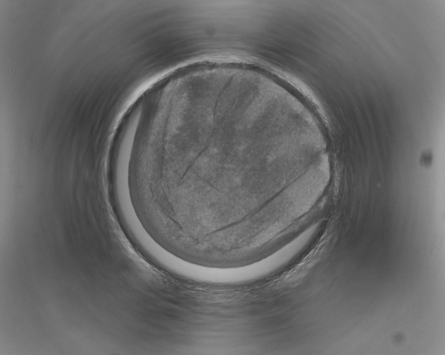 X0000116870935201002021124