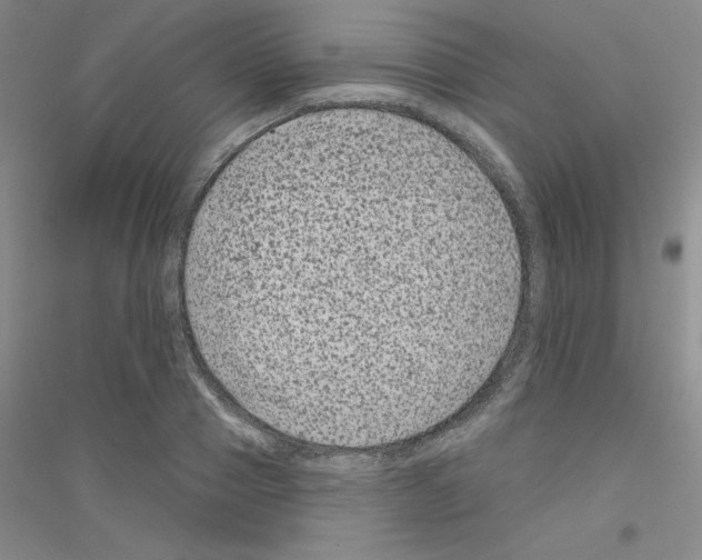 X0000116870937201002021124
