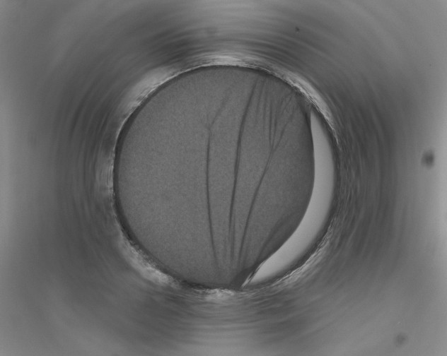 X0000116870938201002021124