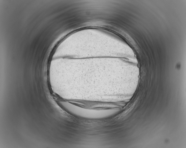X0000116870939201002021124
