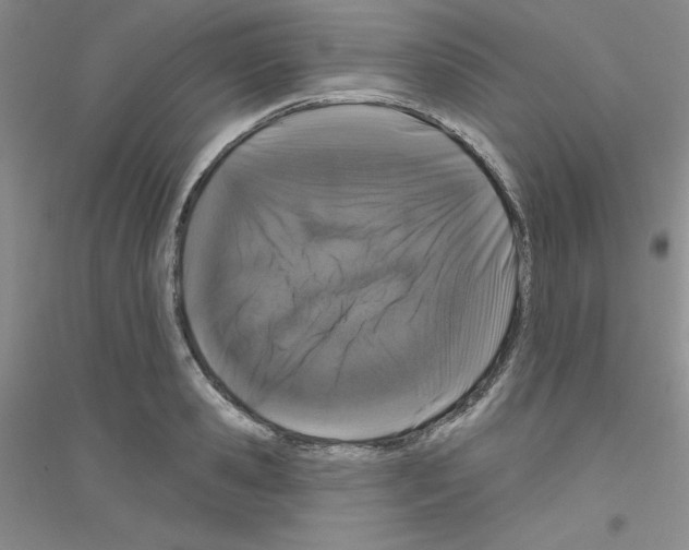 X0000116870941201002021124
