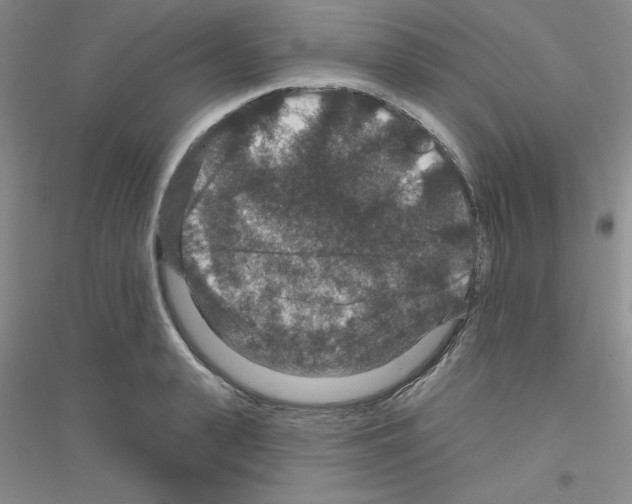 X0000116870943201002021124