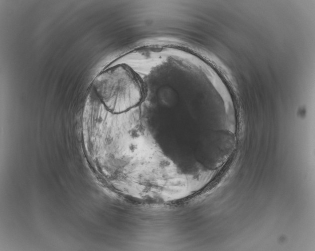 X0000116870945201002021124