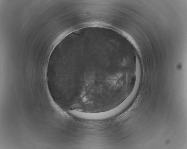 X0000116870946201002021124