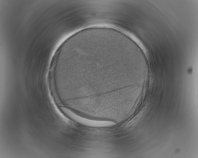 X0000116870951201002021124