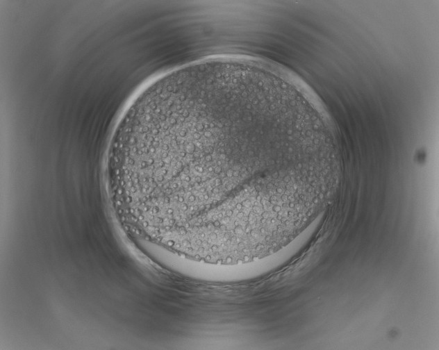 X0000116870955201002021124