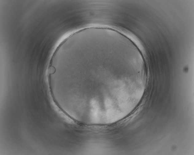 X0000116870958201002021124