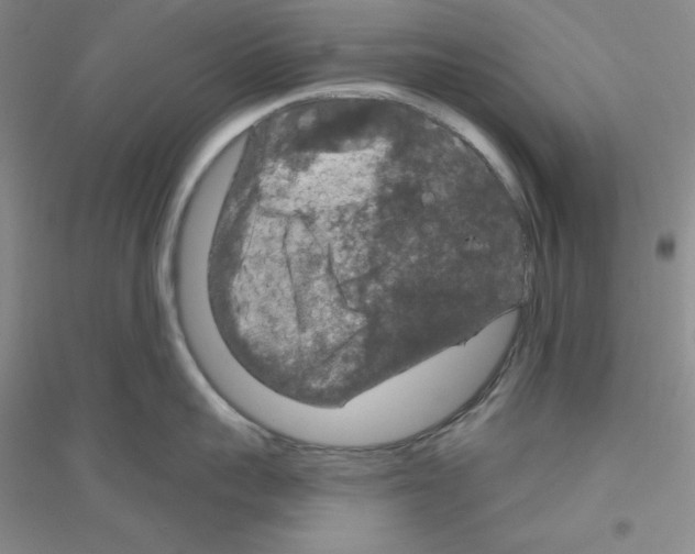 X0000116870959201002021124