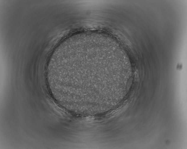 X0000116870961201002021124