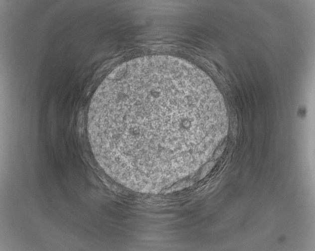 X0000116870962201002021124