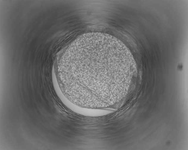 X0000116870963201002021124