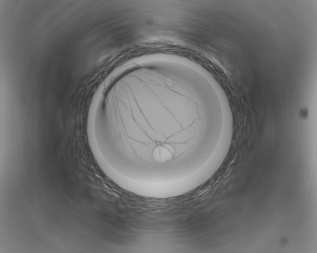 X0000116870965201002021124