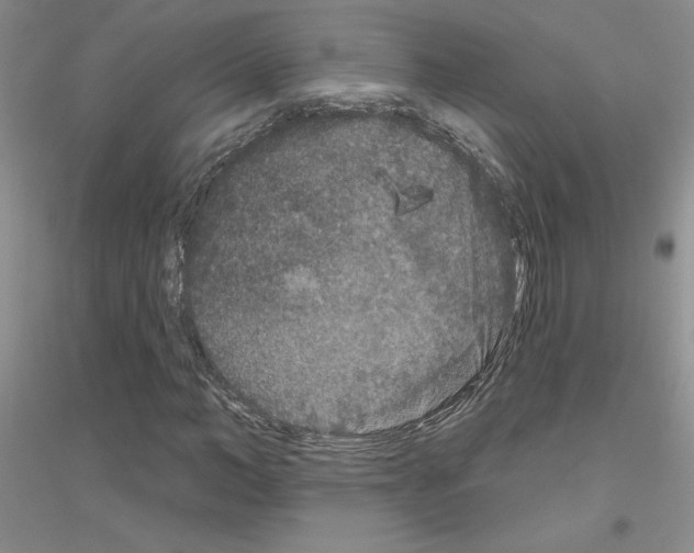 X0000116870966201002021124