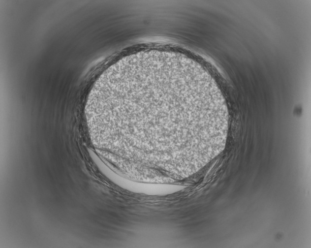 X0000116870967201002021124