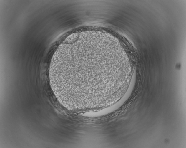 X0000116870968201002021124