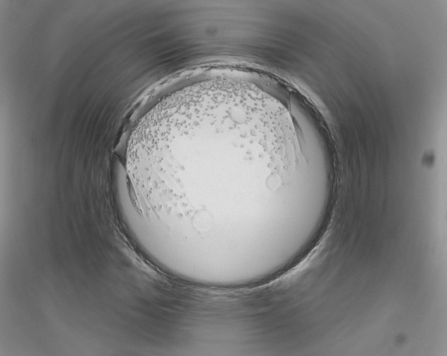 X0000116870969201002021124