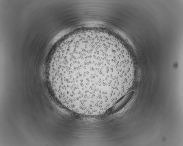 X0000116870970201002021124