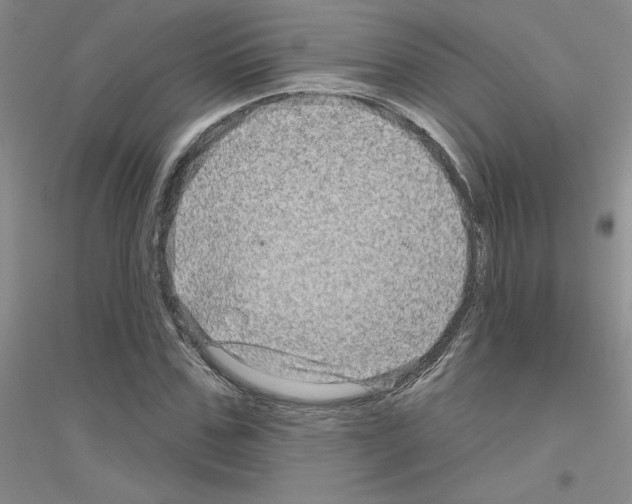 X0000116870971201002021124