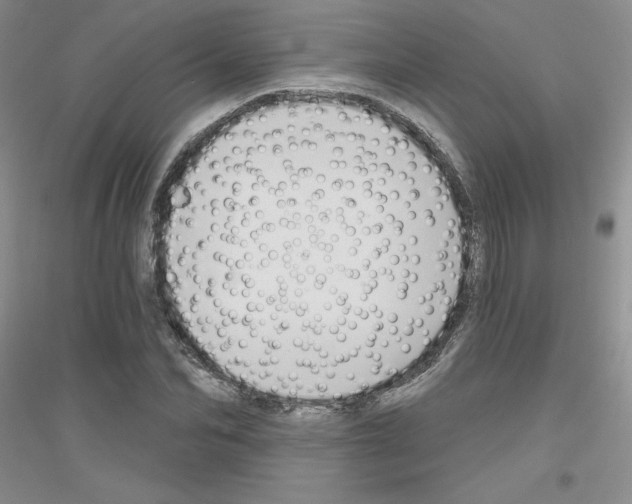 X0000116870974201002021124