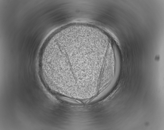 X0000116870976201002021124