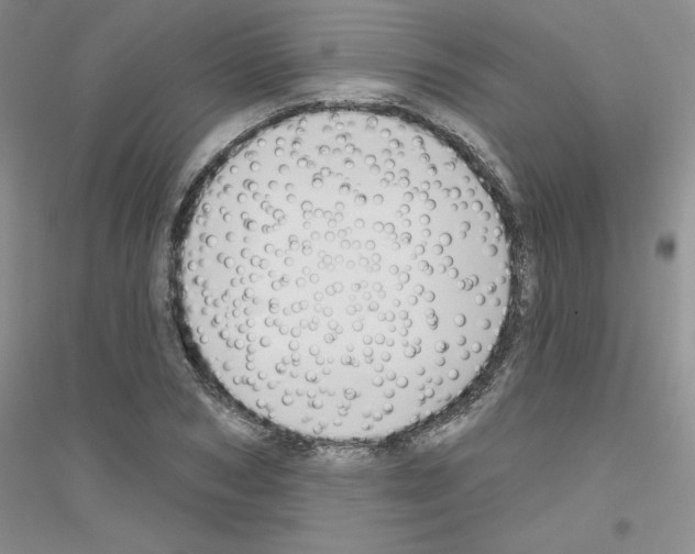 X0000116870978201002021123