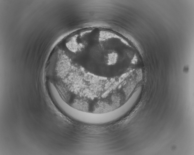 X0000116870983201002021123