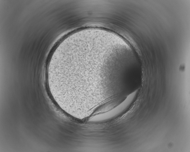 X0000116870984201002021123