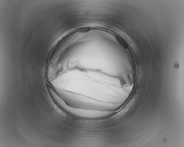 X0000116870985201002021123